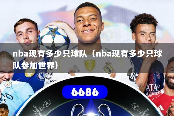 nba现有多少只球队（nba现有多少只球队参加世界）