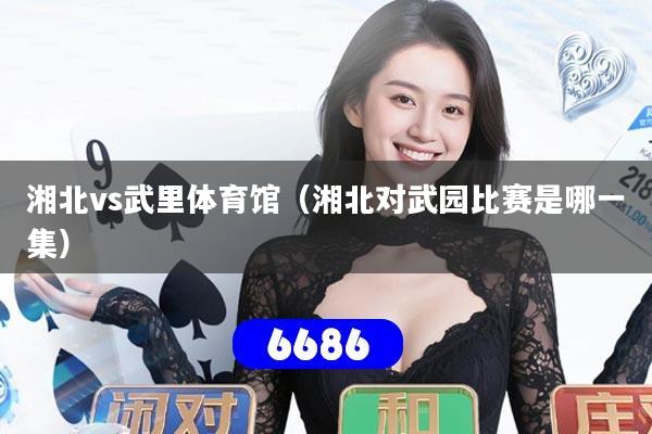 湘北vs武里体育馆(湘北对武园比赛是哪一集)